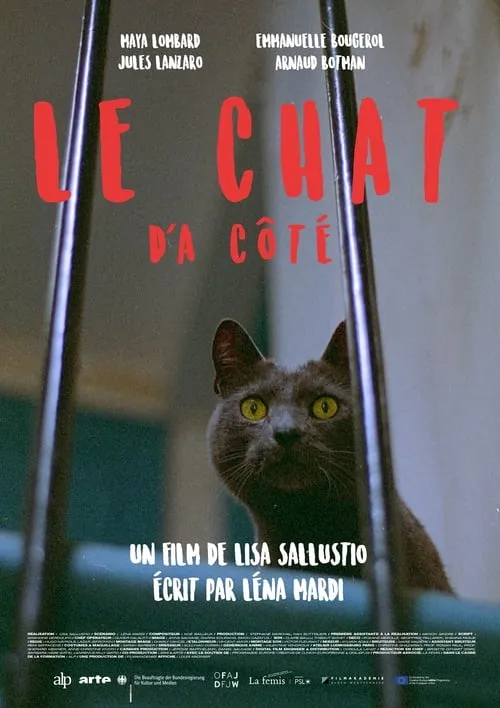 Le chat d'à côté