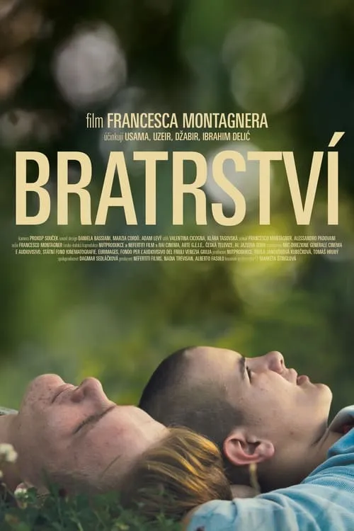 Bratrství (фильм)