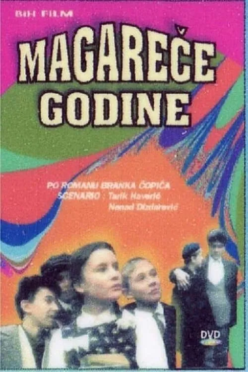 Magareće godine (фильм)