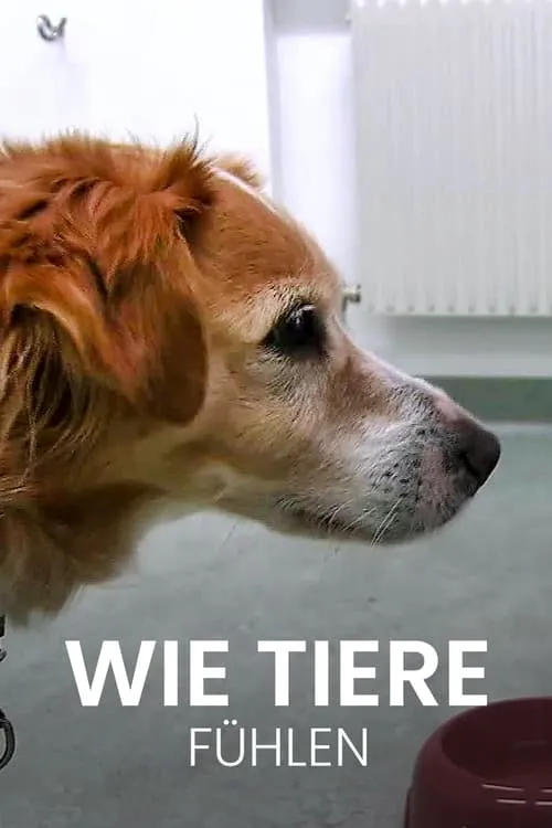 Wie Tiere fühlen (movie)