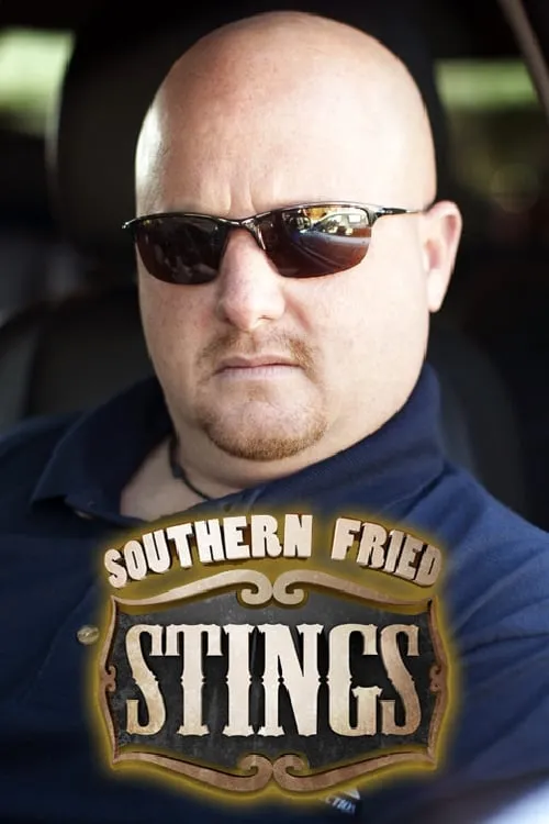 Southern Fried Stings (series)