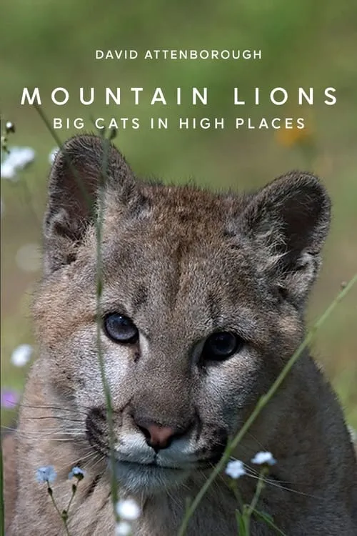 Mountain Lions: Big Cats in High Places (movie)