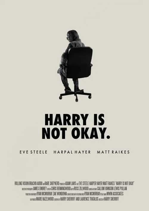 Harry Is Not Okay (movie)