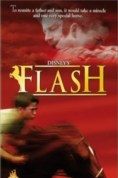 Flash (movie)