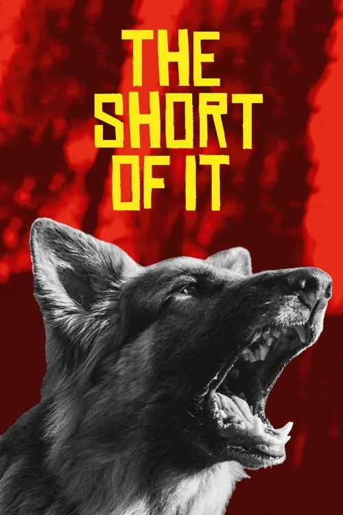 The Short of It (movie)