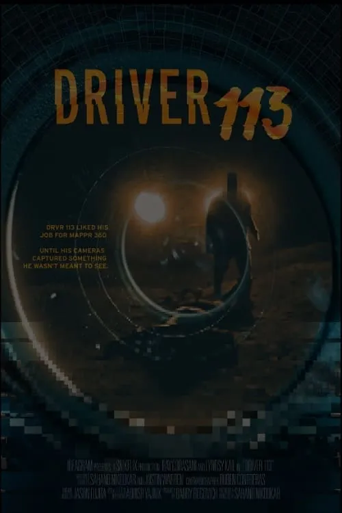 Driver 113 (фильм)