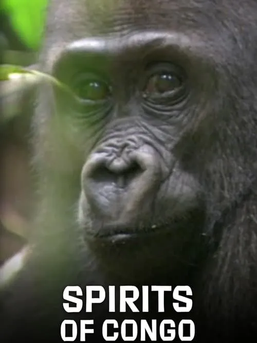 Spirits of Congo