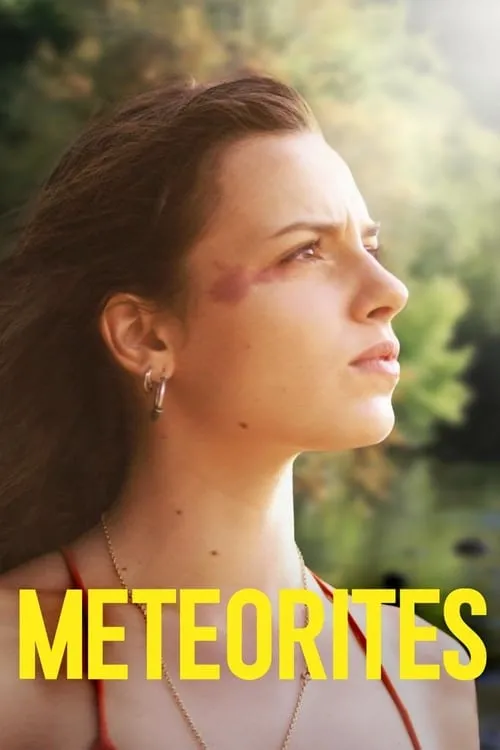 Meteorites