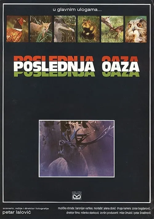 Poslednja oaza (фильм)