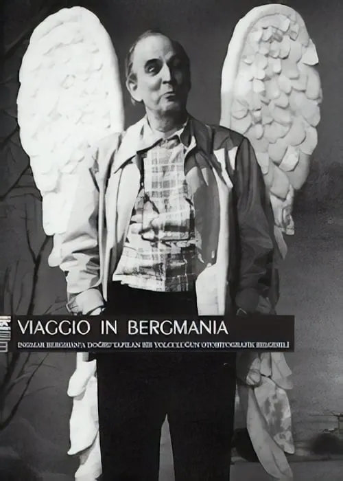 Viaggio in Bergmania (movie)