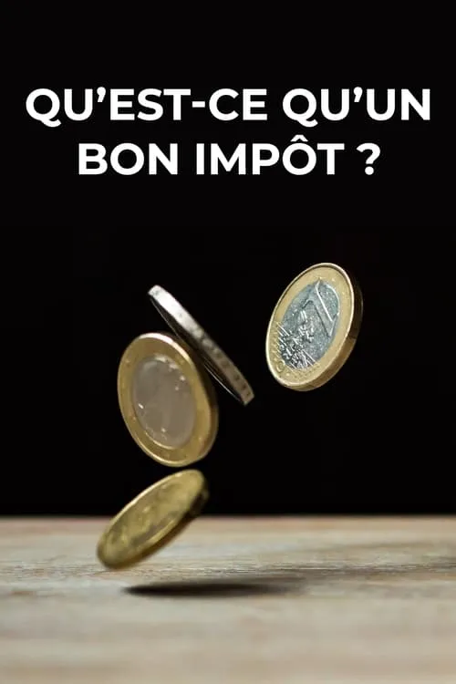 Qu'est-ce qu'un bon impôt ? (фильм)