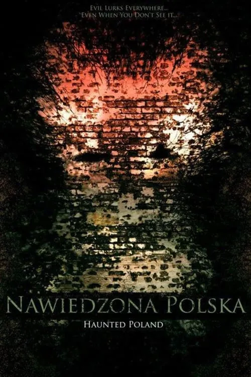 Nawiedzona Polska (фильм)