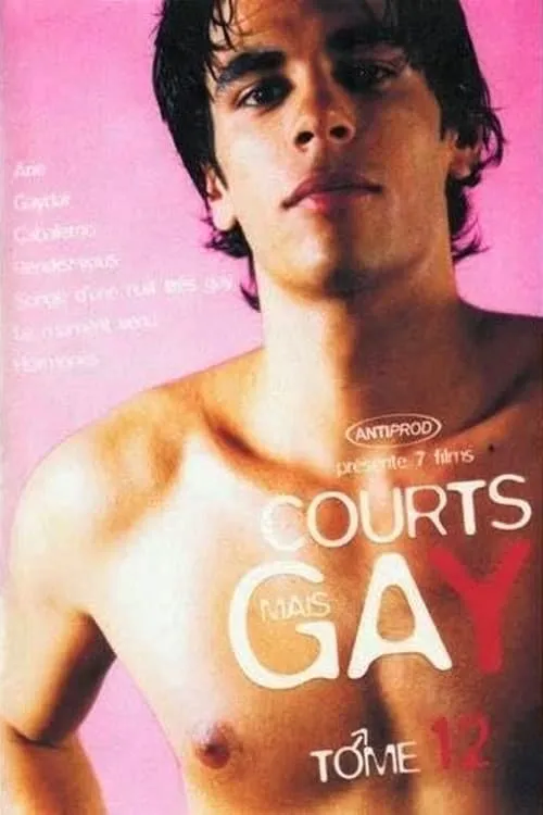 Courts mais Gay : Tome 12 (movie)