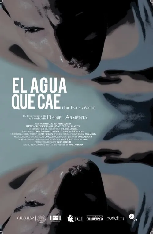 El agua que cae (фильм)