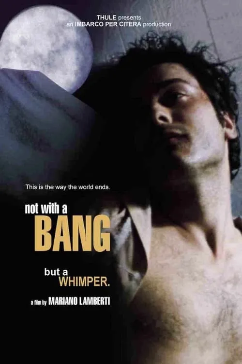 Not with a Bang (movie)