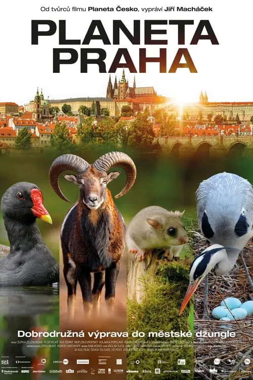 Wild Prague (movie)