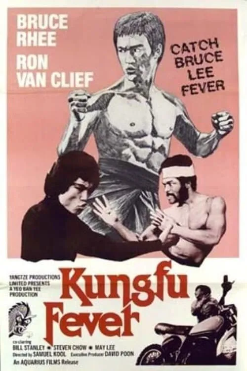 Kung Fu Fever (movie)