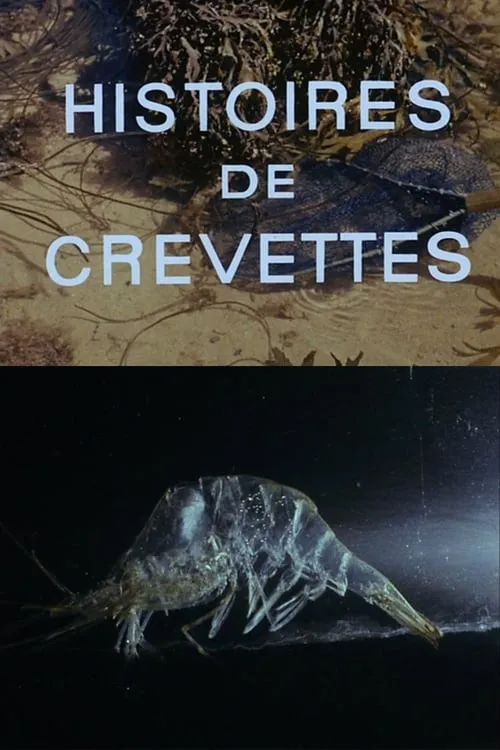 Histoires de crevettes (фильм)