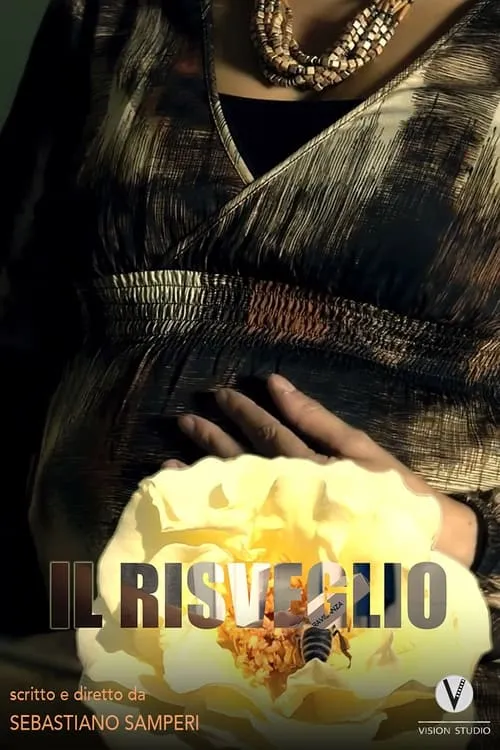 Il risveglio (movie)