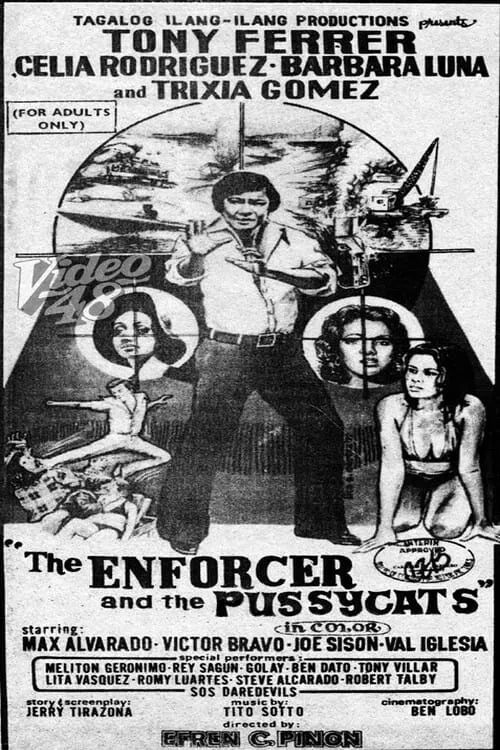 The Enforcer and the Pussycats (movie)