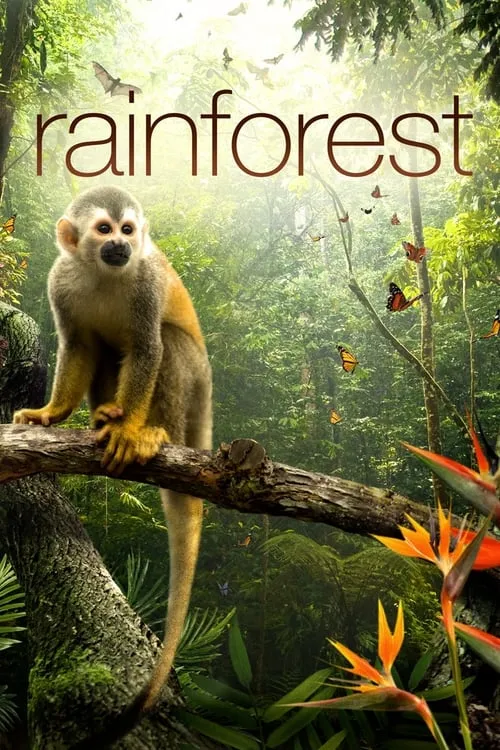 Secret Life of the Rainforest (фильм)