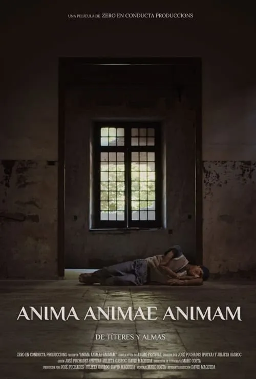 Anima Animae Animam (фильм)