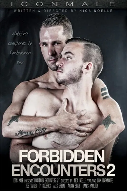 Forbidden Encounters 2 (movie)