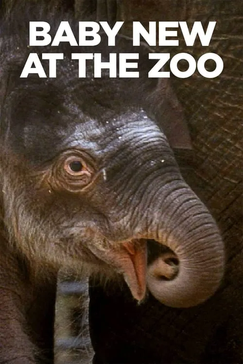 Baby New at the Zoo (movie)