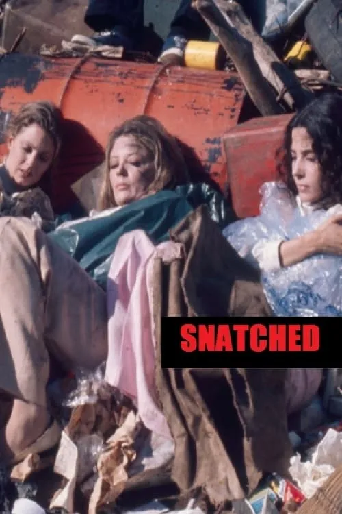 Snatched (movie)