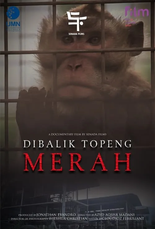 Di Balik Topeng Merah (фильм)