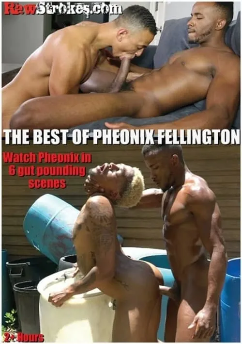 The Best of Pheonix Fellington (фильм)