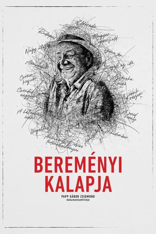 Bereményi kalapja (фильм)