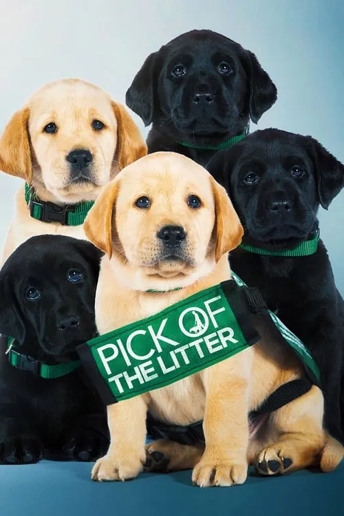 Pick of the Litter (movie)