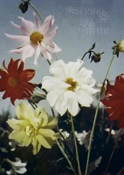 Spring Comes to Kashmir (movie)