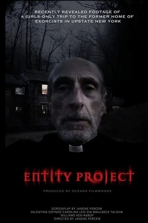 Entity Project (фильм)