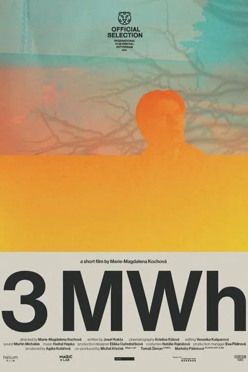 3 MWh (фильм)