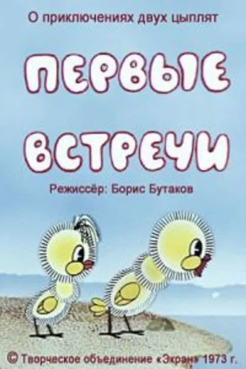 Первые встречи