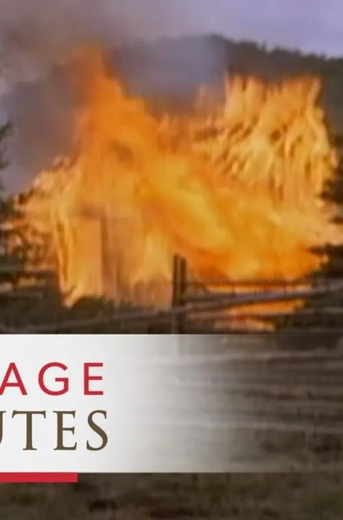 Heritage Minutes: Saguenay Fire (фильм)