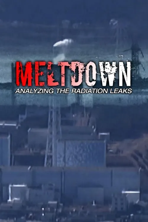 Meltdown:  Analyzing the Radiation Leaks (movie)