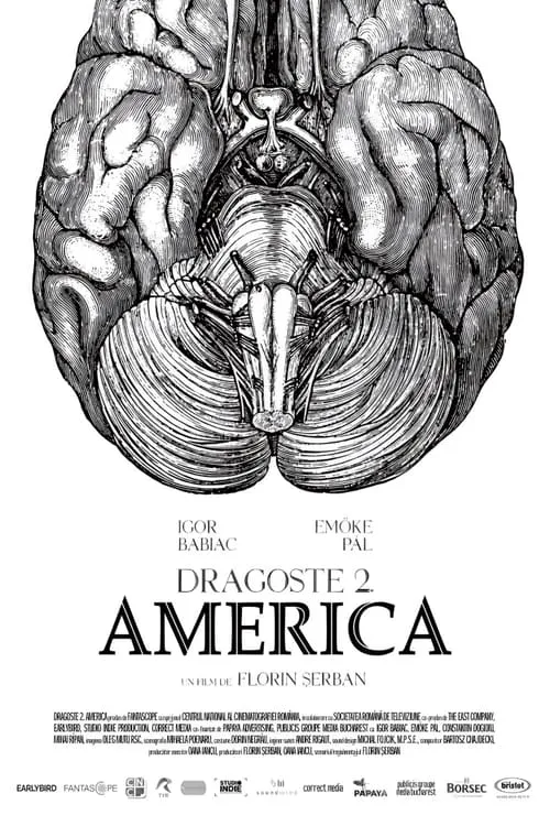 Dragoste 2. America (фильм)