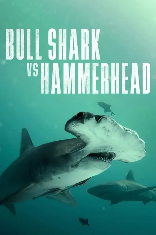 Bull Shark vs. Hammerhead (movie)