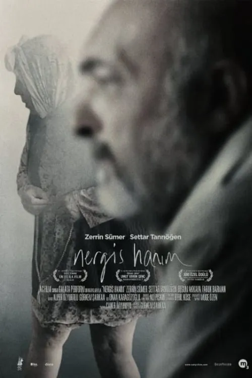 Mrs Nergis (movie)