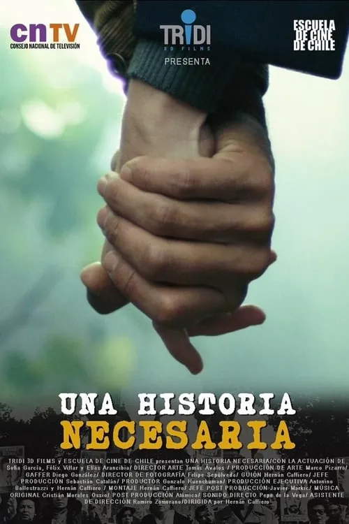 Una historia necesaria (series)