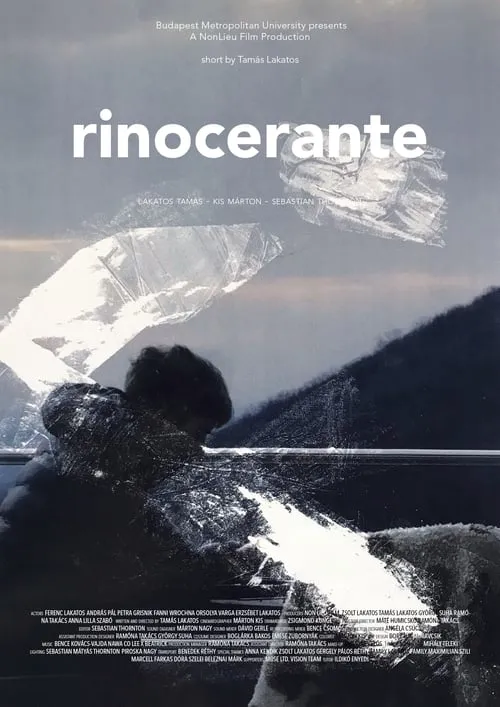 Rinocerante