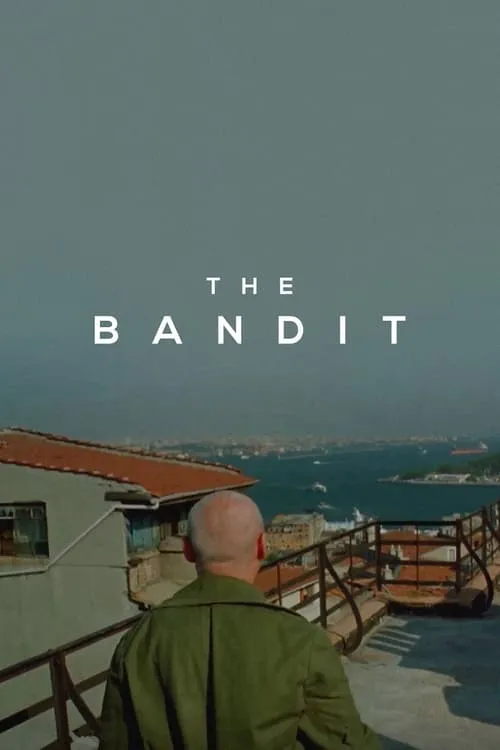 The Bandit (movie)