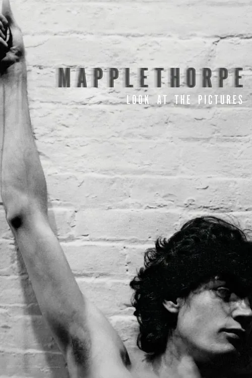 Mapplethorpe: Look at the Pictures (movie)