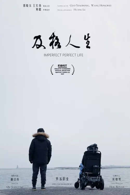 Imperfect Perfect Life (movie)