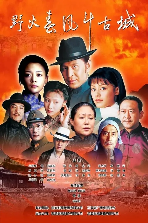 野火春风斗古城 (сериал)