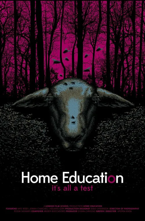 Home Education (фильм)