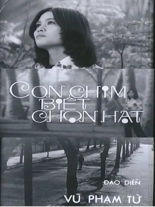 Con Chim Biết Chọn Hạt (фильм)